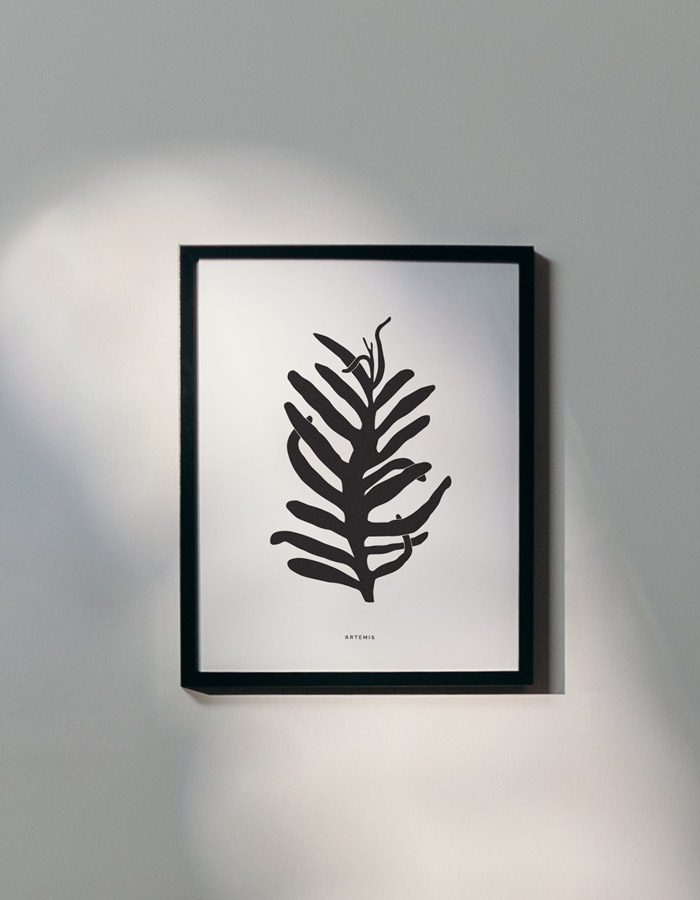 Leaf-2-900x700